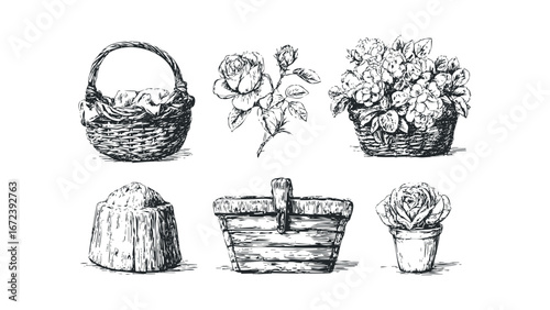 Hand Drawn Collection of Rustic Baskets and Rose Blooms. Vector hand drawn illustration
