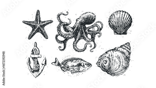 Collection of Marine Life and Nautical Symbols in Sketch Style. Vector hand drawn illustration