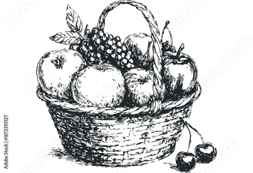 Hand-drawn basket brimming with assorted fruits and grapes. Vector hand drawn illustration