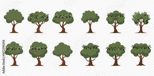Collection of twelve cartoon olive trees, some laden with olives, illustrating variations in shape and fruit.