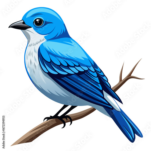 blue bird on a branch