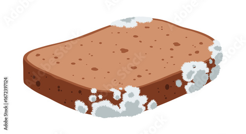 Moldy bread slice shows spoilage and food waste, highlighting decay and health concerns