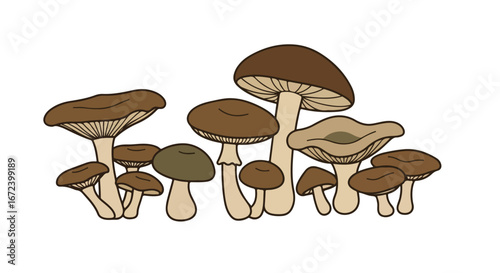 Mushrooms Gathering in Forest (Illustration, No Background)
