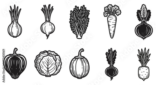 A collection of various vegetables in a simple line drawing style