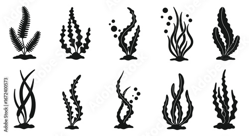Collection of various underwater seaweed and aquatic plant silhouettes on white background