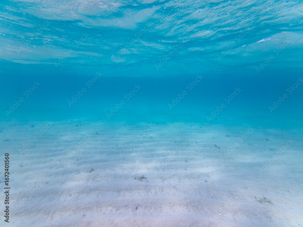 Obraz premium Calm underwater view of a sandy ocean floor beneath clear blue water.
