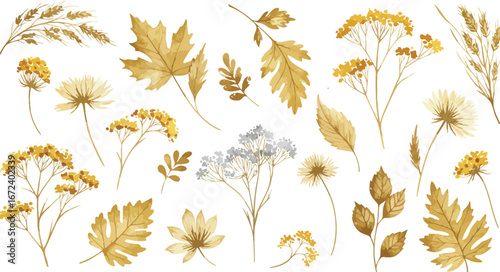 Golden flowers and leaves on a white background in watercolor style