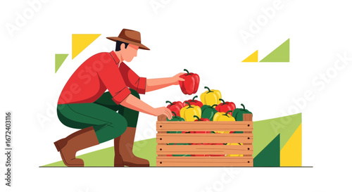 Agricultural Worker Displaying Freshly Harvested Bell Peppers From Wooden Crate