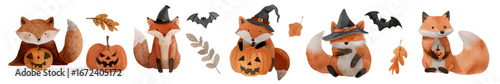 Hand painted watercolor foxes with Halloween pumpkins, scary jack o lantern faces, bats, witch hats and autumn foliage. Adorable woodland animals clipart set. Collection of Vector illustrations. 
