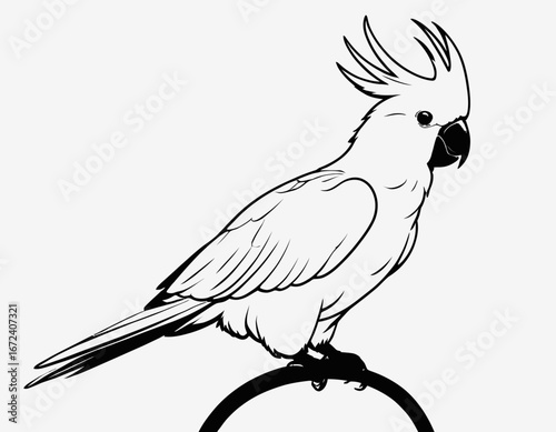 Cockatoo bird Silhouette digital Art, Intricate Powerful and Ready for Print or Web, Sharp Details. Strong Identity. Timeless Design