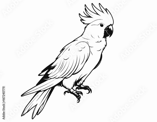 Cockatoo bird Silhouette digital Art, Intricate Powerful and Ready for Print or Web, Sharp Details. Strong Identity. Timeless Design