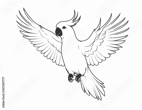 Cockatoo bird Silhouette digital Art, Intricate Powerful and Ready for Print or Web, Sharp Details. Strong Identity. Timeless Design