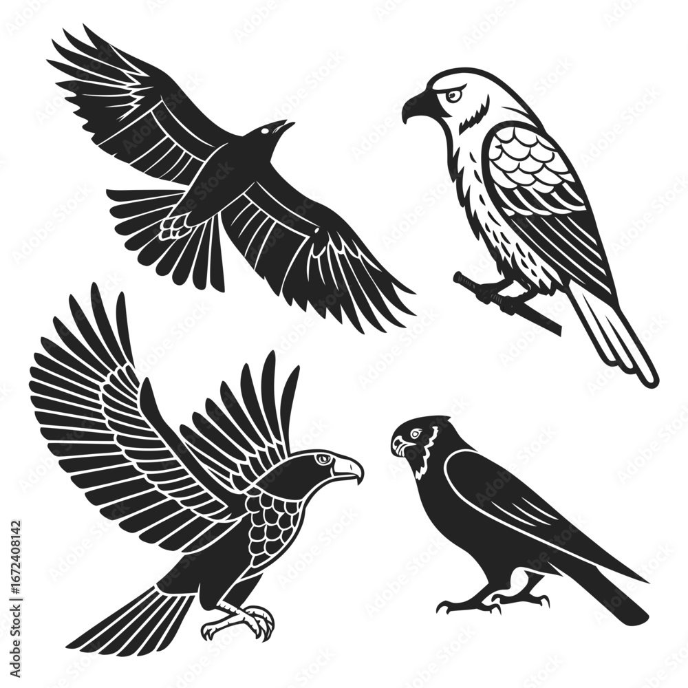 Obraz premium set of vector birds