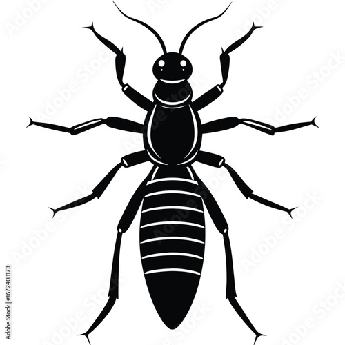 termite vector