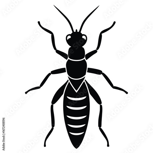 termite vector