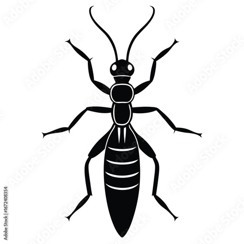termite vector