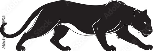 Black Silhouette of a Panther Walking on White Background jaguar leopard
