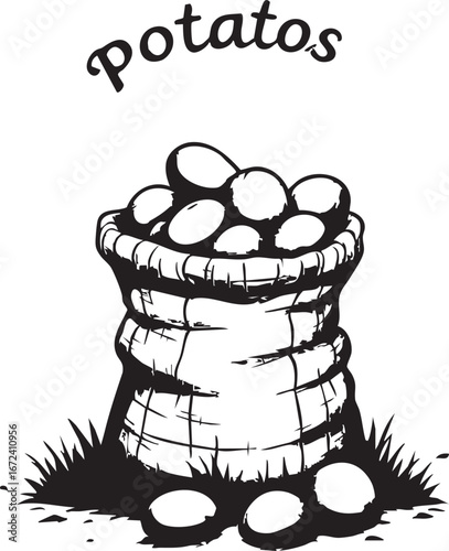 Vintage farm sack filled with freshly harvested potatoes
