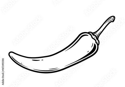 Hand-Drawn Chili Pepper Illustration with Bold Outline.