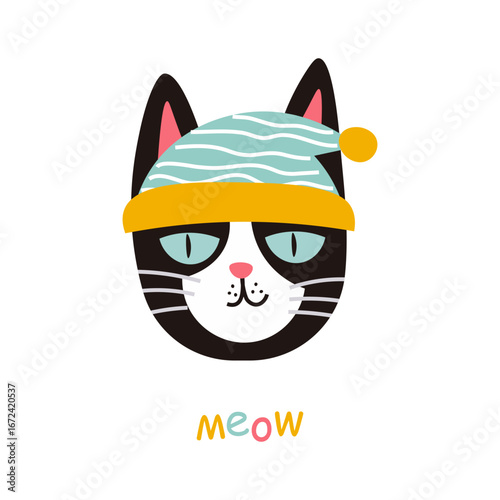 postcard with funny cat face