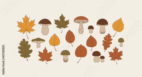 Autumnal Collection: Hand-Drawn Illustrations Of Leaves And Earthy Mushrooms On Cream Backdrop