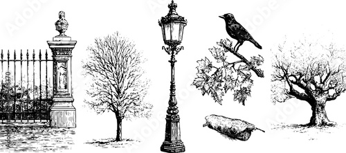 Serene autumn morning: engraved collection of trees, lamppost, and bird