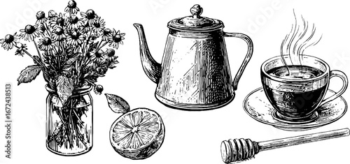 Autumn herbal teas illustration set featuring teapot, chamomile, honey, and citrus elements for design