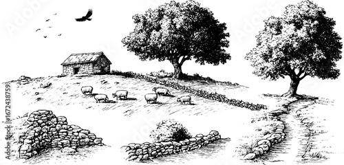 Autumn rural hillside scene with sheep and stone cottage