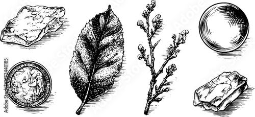 Vintage engraving of objects and leaves trapped in ice for unique design