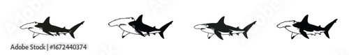 Isolated Hammerhead Shark Icon Set on White Background Ocean Life