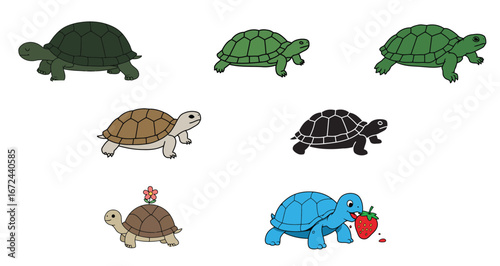 Illustration set featuring assorted cartoon turtles on a clean white canvas