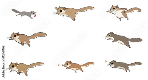 Collection of vector flying squirrels gliding on isolated white background