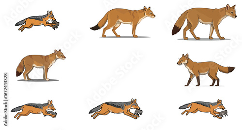 Animated jackal poses in various activities on white background illustration