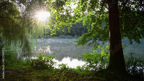 Mist drifts over lake at dawn with sunlight shining through tree foliage.