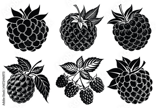 A set of whole strawberry on a white background.