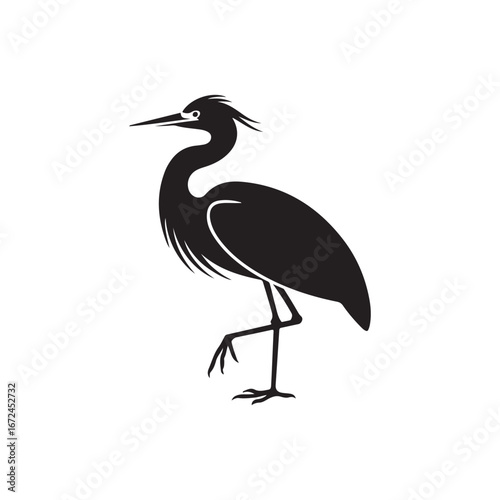 Elegant black heron standing on one leg with detailed feather texture and long beak on vector
