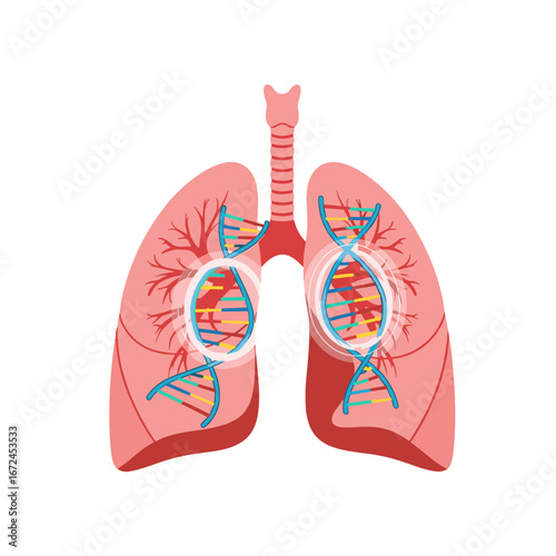 Exploring the genetic basis of lung health and respiratory diseases with dna strand illustrations inside lungs