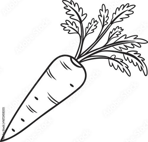 Black and White Carrot with Green Leaves vegetable