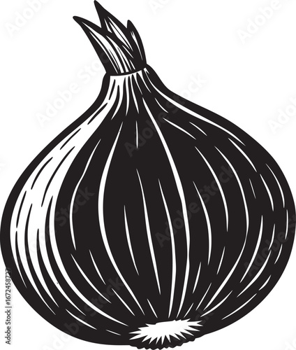 Black and White Silhouette of a Single Onion monochrome