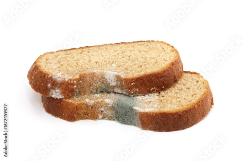 Piece of moldy bread.
