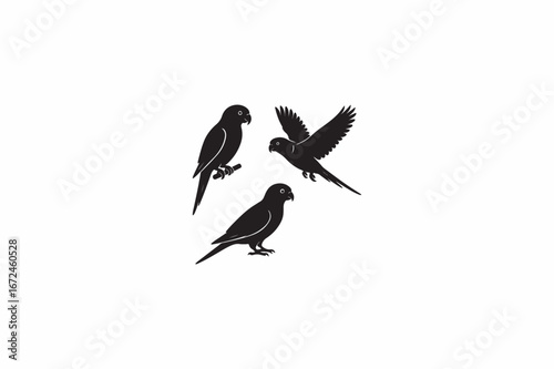 Rainbow Lorikeet bird vector silhouettes black image made by adobe illustrator with white color back round. .eps