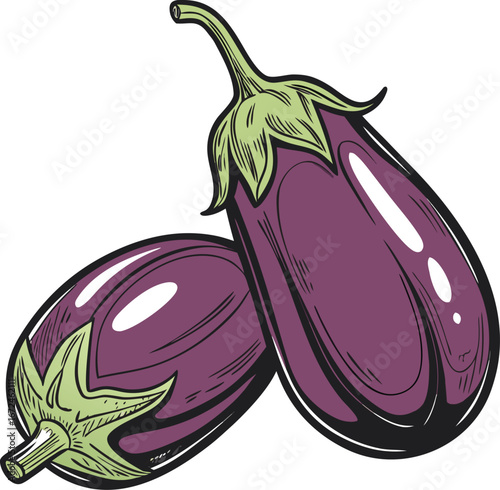 Two purple eggplants with green stems and leaves aubergine