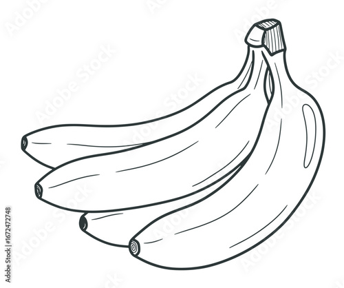 A simple line art drawing of a bunch of bananas