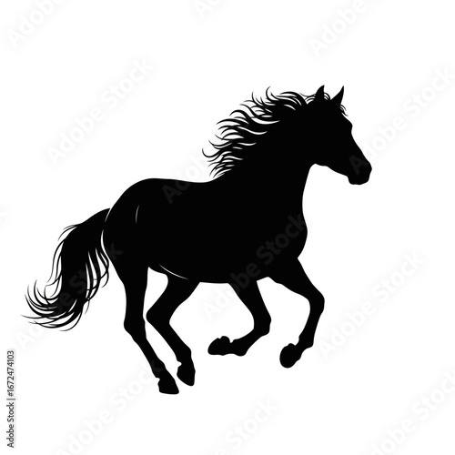 black horse vector illustration