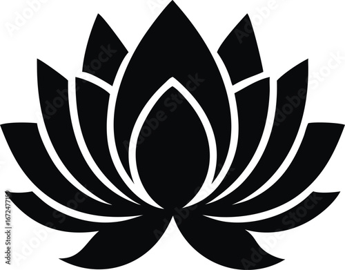 Beautiful blooming lotus flower gracefully opening in tranquil water isolated on white background isolated on transparent background