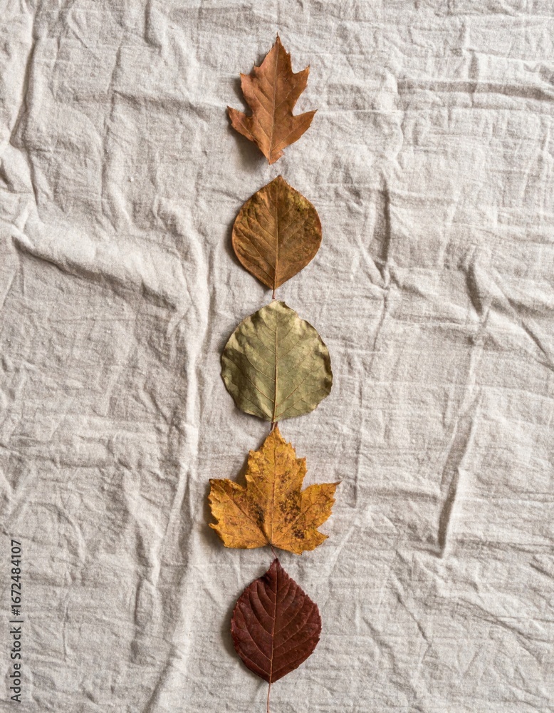 Fototapeta premium Colorful Autumn Leaves Arranged Vertically on Wrinkled Grey Linen Fabric Close Up