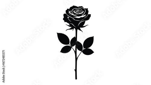 Black Rose Silhouette: An exquisite black rose silhouette, its elegant petals and graceful stem standing in striking contrast, evoking feelings of purity and beauty.