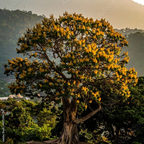 Lush tree with golden blossoms at sunrise