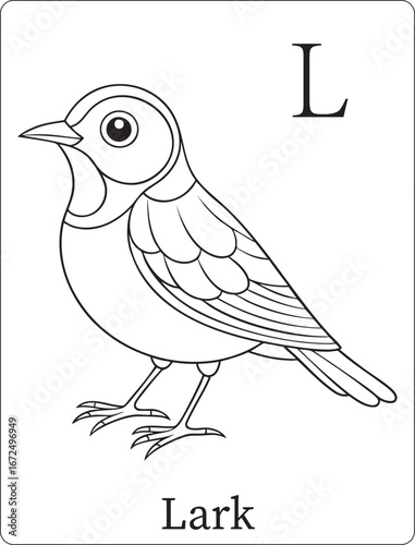Cute lark bird alphabet illustration with letter l created as a children’s coloring page for fun educational learning activities