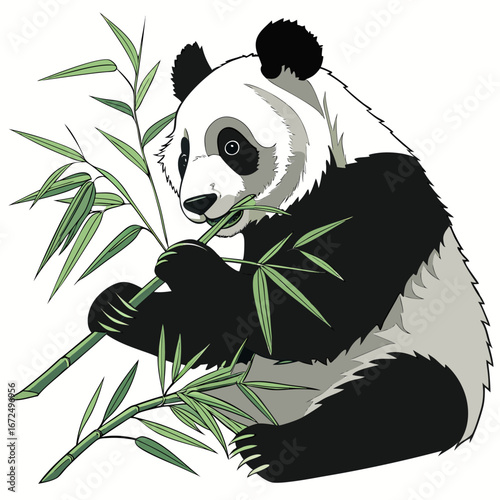 panda eating bamboo